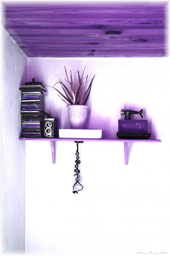 PURPPLE ROOM - Antonio Puertas