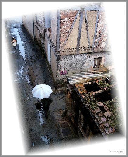 UMBRELLAQUA - Antonio Puertas