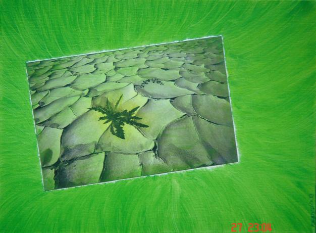 Desert Vision - Sarah Roffey - Cliquer pour afficher en grand
