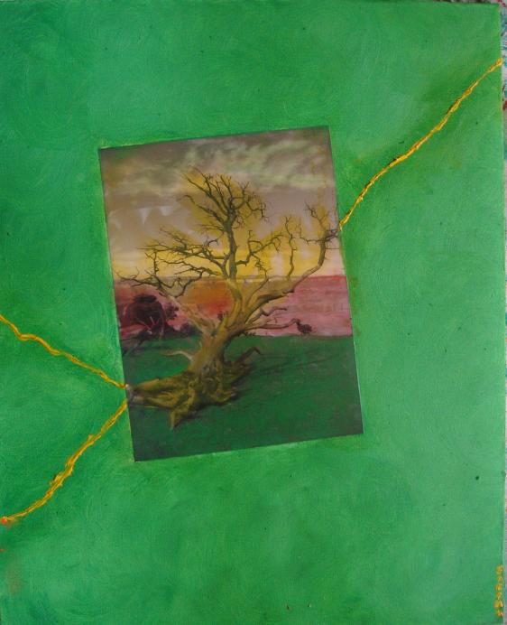 Enchanted Tree - Sarah Roffey