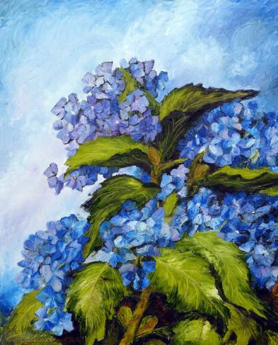 Ortensie Blu - Fiorella Boldini