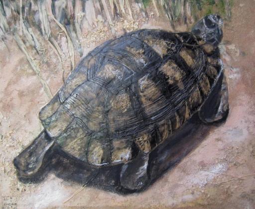 tortue de Rocamadour - Pascale Huard-Garnier