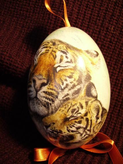 CALIN DU TIGRE - Lawrence Wiland