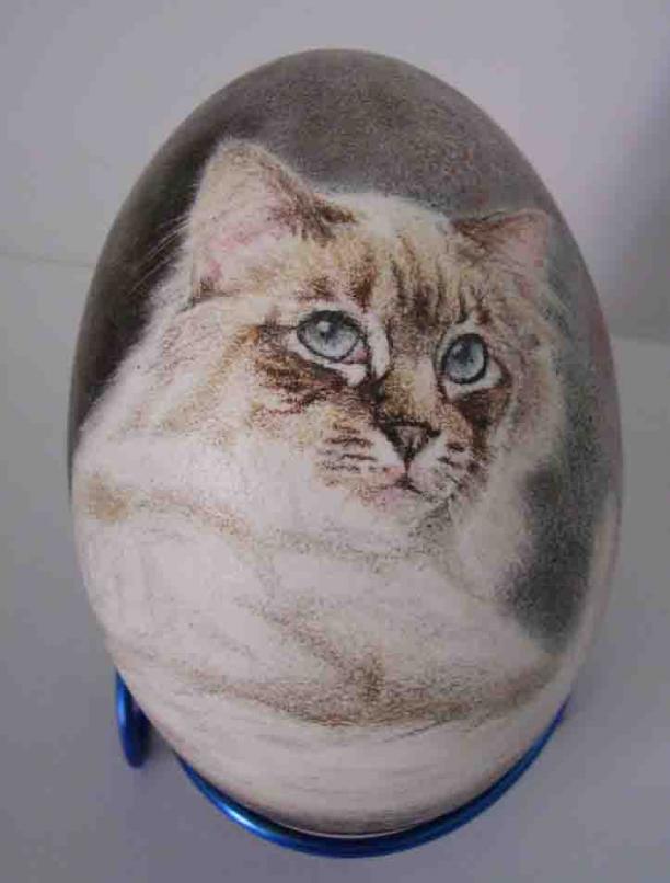CHAT SACRE DE BIRMANIE - Lawrence Wiland - Click to enlarge