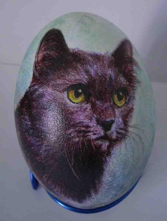 CHAT EUROPEEN - Lawrence Wiland