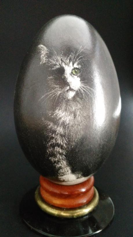 La nuit tous les chats sont gris - Lawrence Wiland
