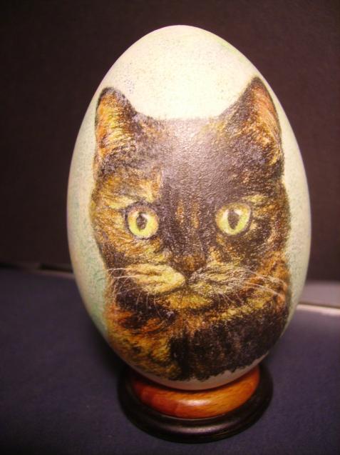 CHAT-NEL - Lawrence Wiland