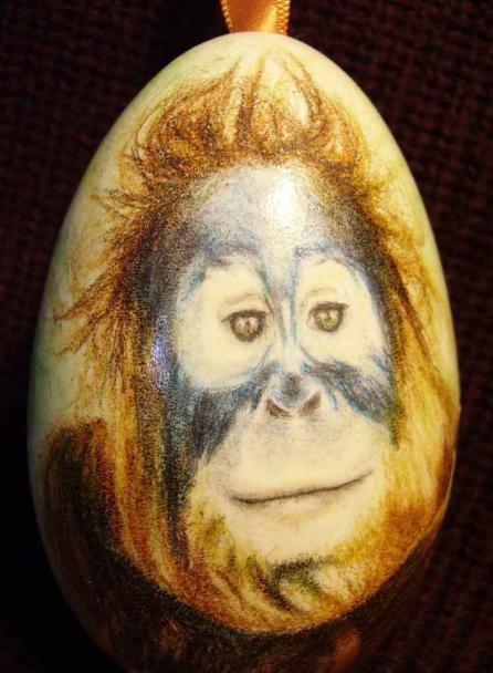 ORANG OUTAN - Lawrence Wiland