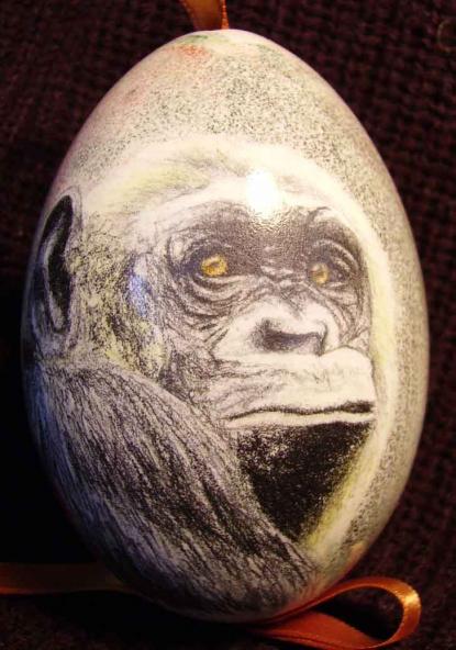 PORTRAIT D'UN CHIMPANZE - Lawrence Wiland