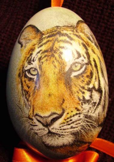 TIGRE - Lawrence Wiland