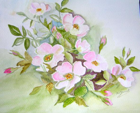 fleurs d'églantier - Marie Claire Doucet - Cliquer pour afficher en grand
