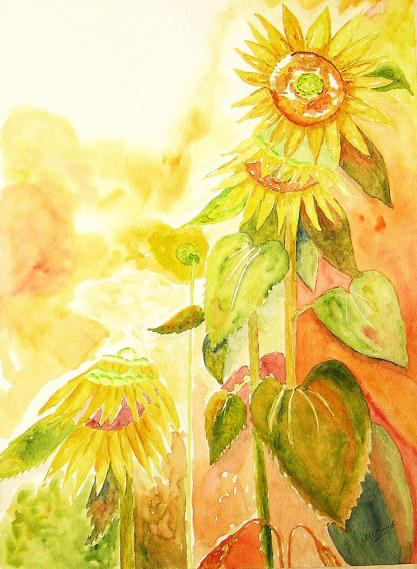 Tournesols au soleil - Marie Claire Doucet