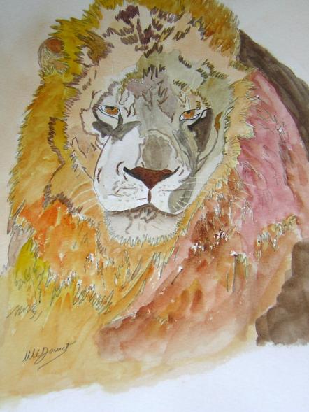 Lion - Marie Claire Doucet