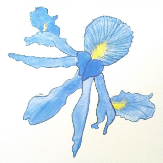 Fleurs Bleu - Damien Menzato - Click to enlarge