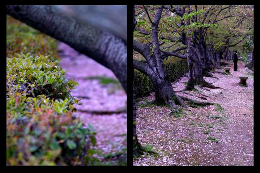 Emue à Himeji - Absynthe Takis