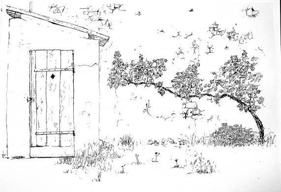 la cabane - Jean-Clair Cougnaud