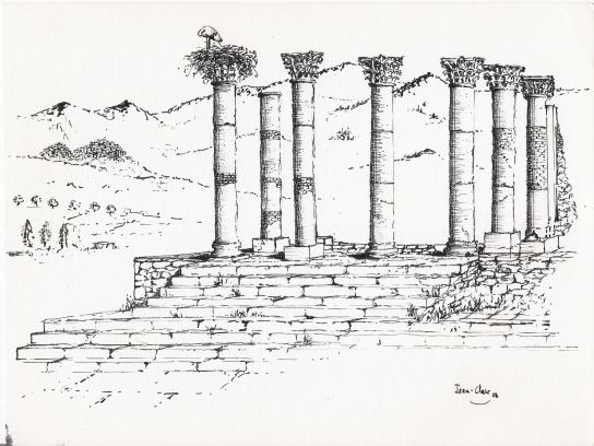 Volubilis - Jean-Clair Cougnaud