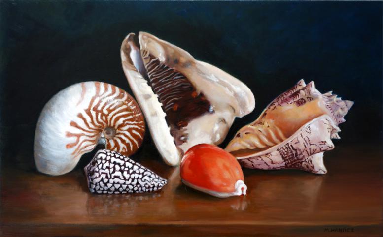 Les coquillages - Marc Wantiez - Click to enlarge