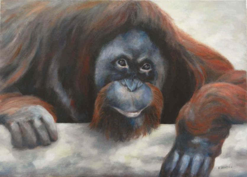 L'Orang outan - Marc Wantiez - Click to enlarge