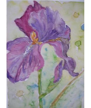 Fleur violette - Gunech Zardoumi