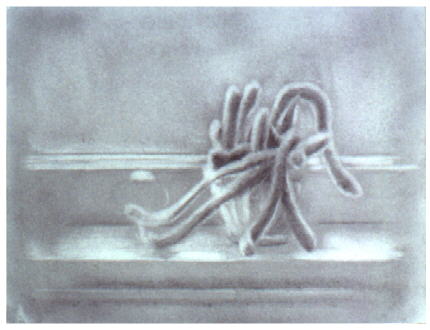 Chambers Study #1 - Andrew Chisholm