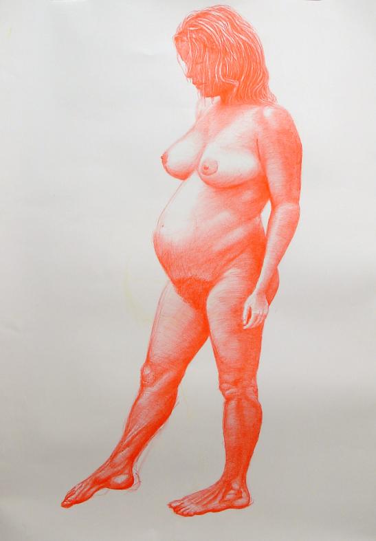 Pregnant Study - Andrew Chisholm