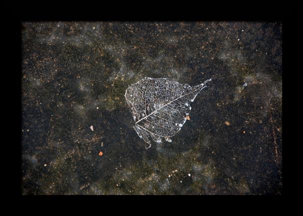 After life - Antoine Lassus - Click to enlarge