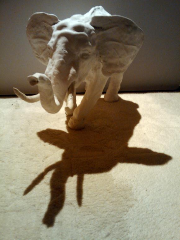 elephant - Lawrence o'Toole - Cliquer pour afficher en grand