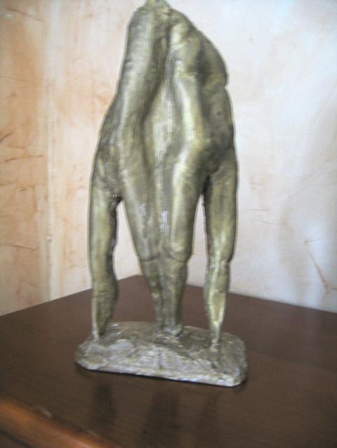 La deformacion - Ana Serrote