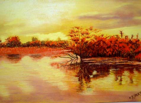 crépuscule en Guyane - Robert Esnay