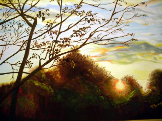 Sunset in the Trees - Tatiana Sragar