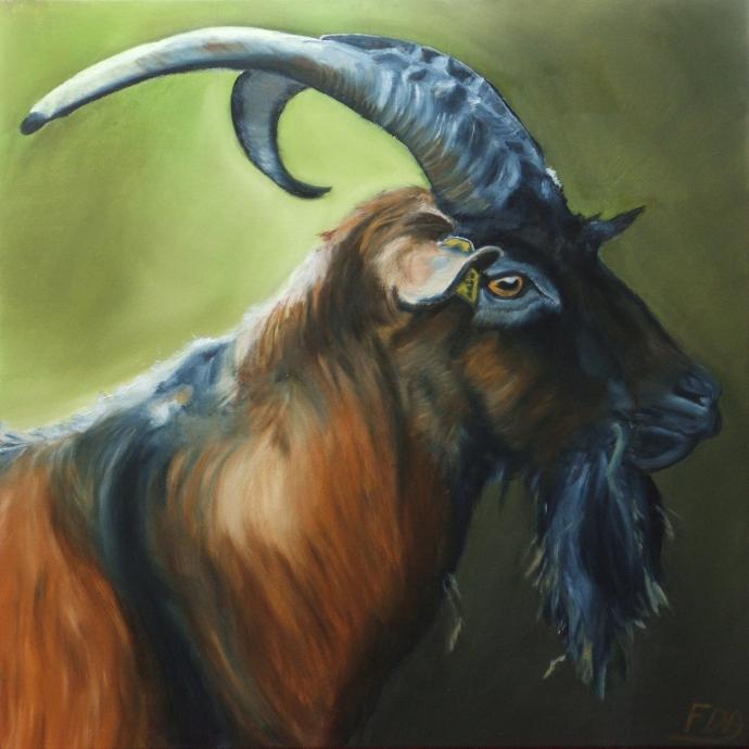 flamme, le bouc de la Pastourelle - Françoise Dauvergne - Click to enlarge