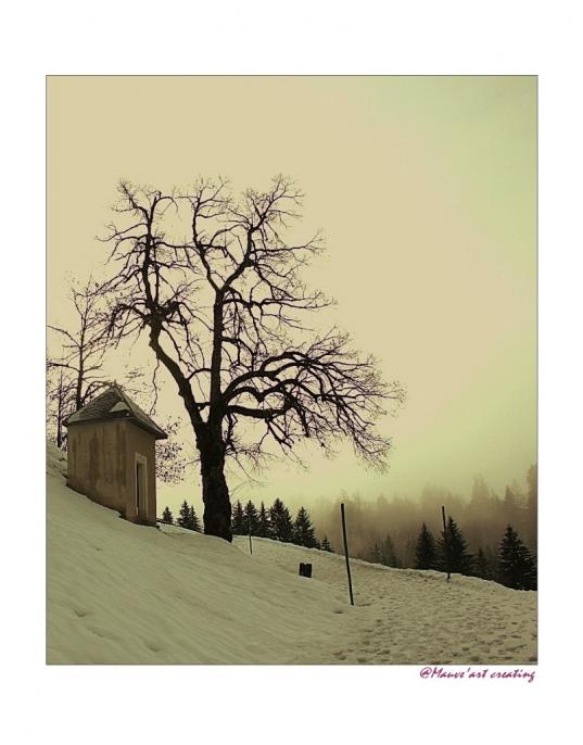 MEGEVE - Dominique Bourcier