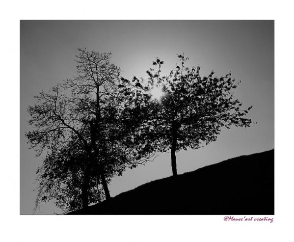 JEUX D'OMBRE ET DE LUMIERE 16 - Dominique Bourcier - Click to enlarge