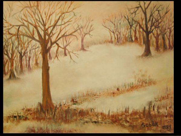 Méditation dans les bois - Ferenc Sebök - Cliquer pour afficher en grand
