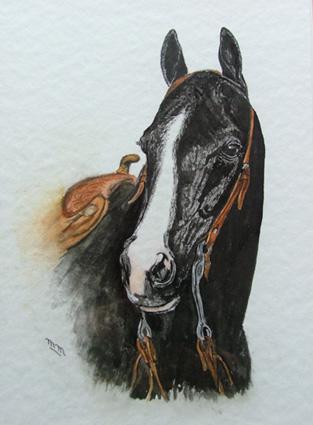 Quater horse - Murielle Marquebielle