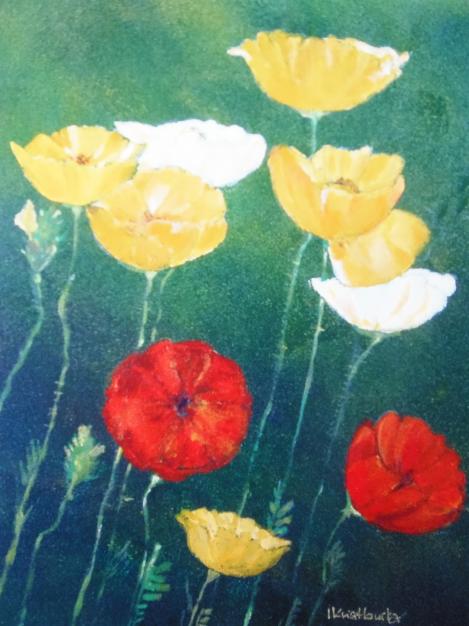 Poppies - Iwona Kwiatkowska