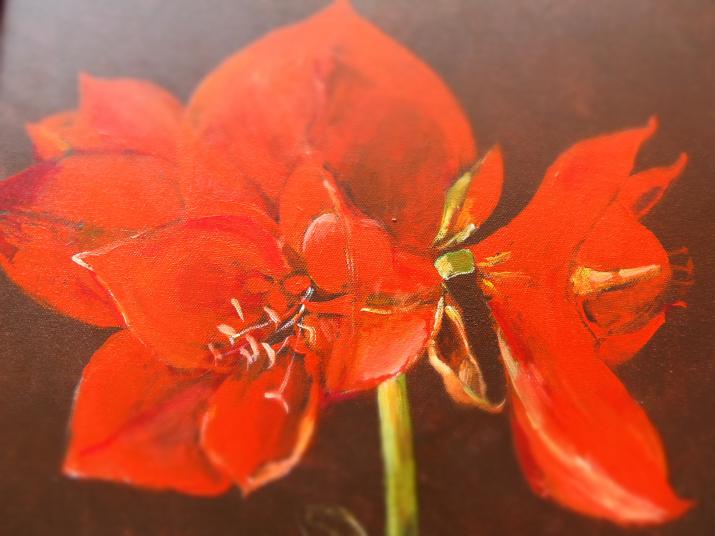 Red Flower - Iwona Kwiatkowska - Click to enlarge