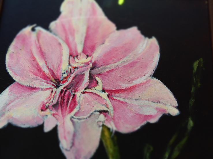 Pink Flower - Iwona Kwiatkowska - Cliquer pour afficher en grand