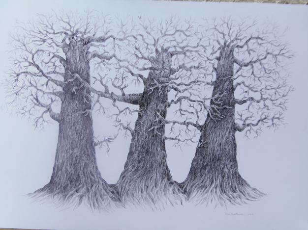 Trees1 - Iwona Kwiatkowska - Click to enlarge