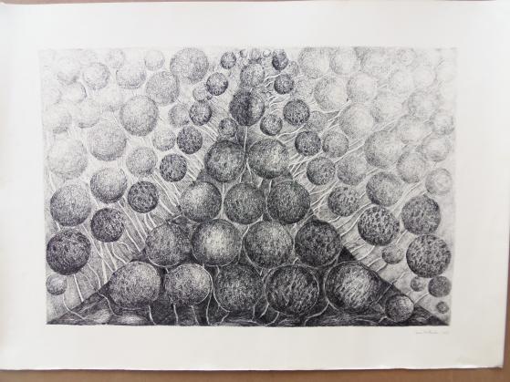Garden 1 - Iwona Kwiatkowska