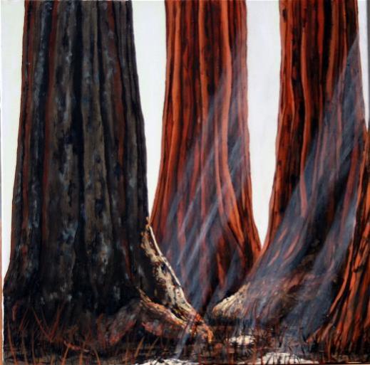 Giganteum - Franck Tanviray