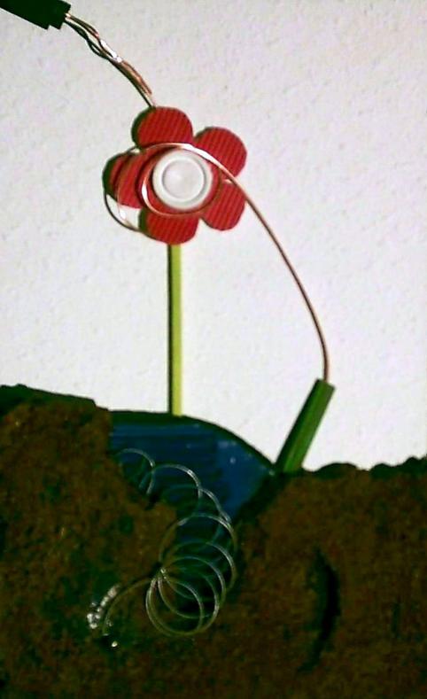 Flower one. - Gino
