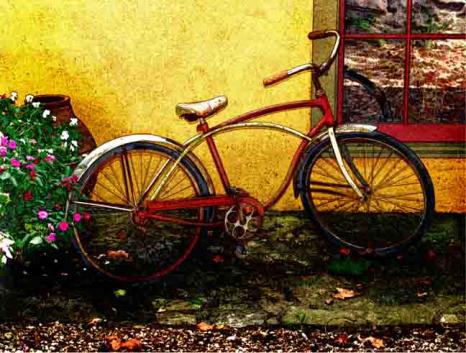 Eureka Bicycle - Pepper Pepper