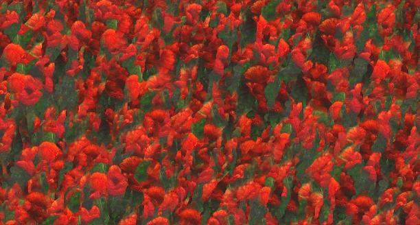 Champ de coquelicots - Aaron Flux - Cliquer pour afficher en grand