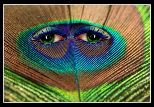 Regard - Aaron Flux