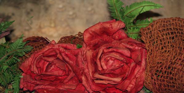 Roses de velours - Aaron Flux - Click to enlarge