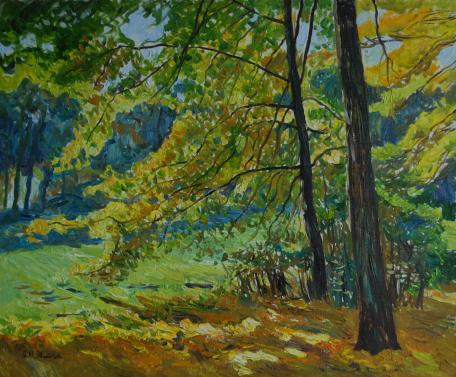 Autumn foliage - Ruslan Zhila