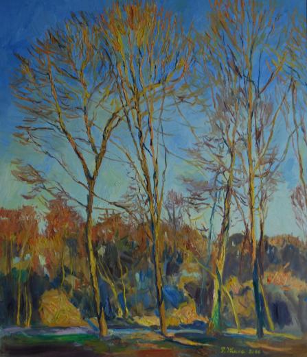 Park trees - Ruslan Zhila