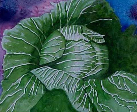 Cabbage - Bernie Elliott